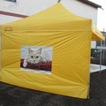 4x8m pop up teltta termopaino menetelmällä tehty kuvalla ja logolla
